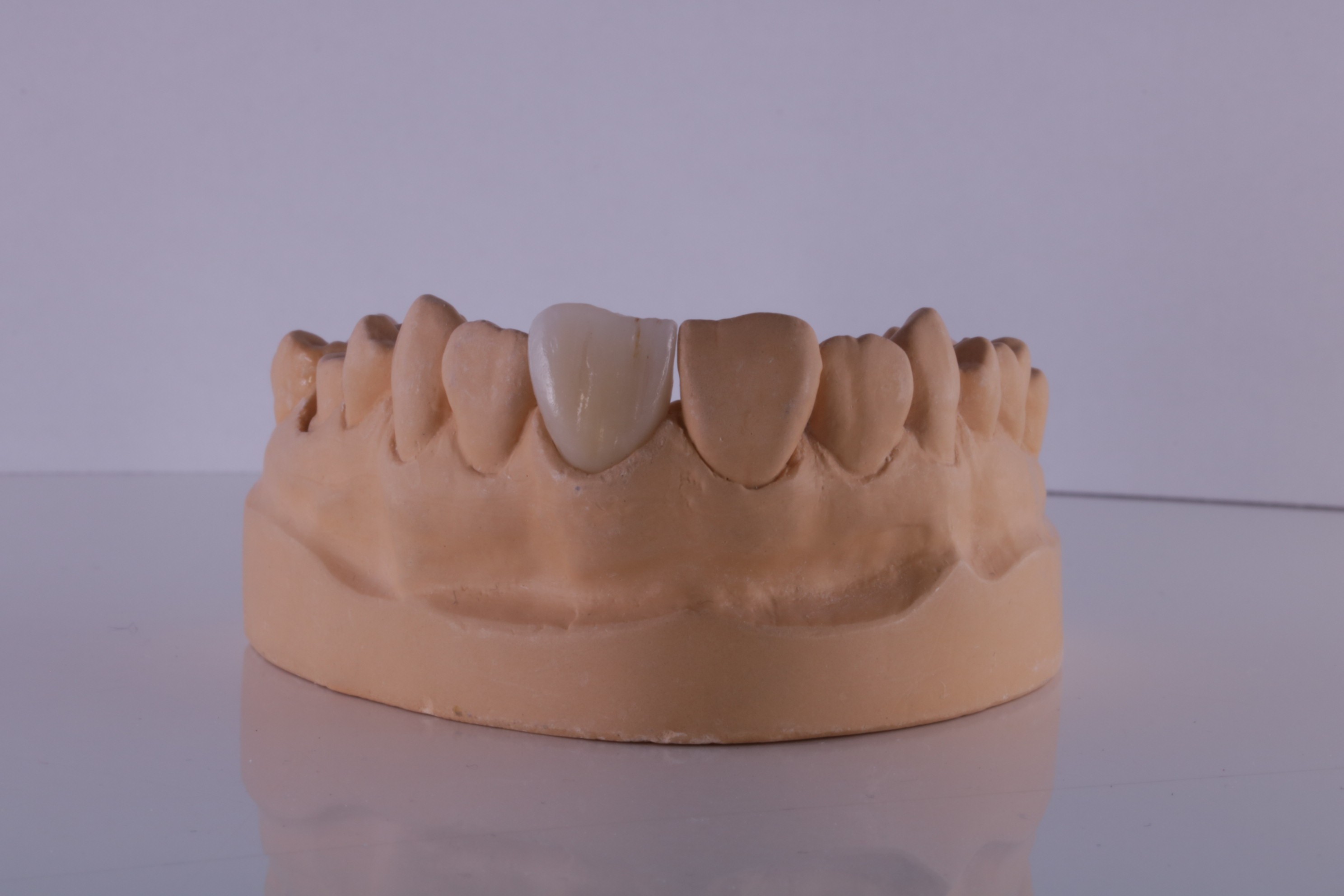 New Dental
