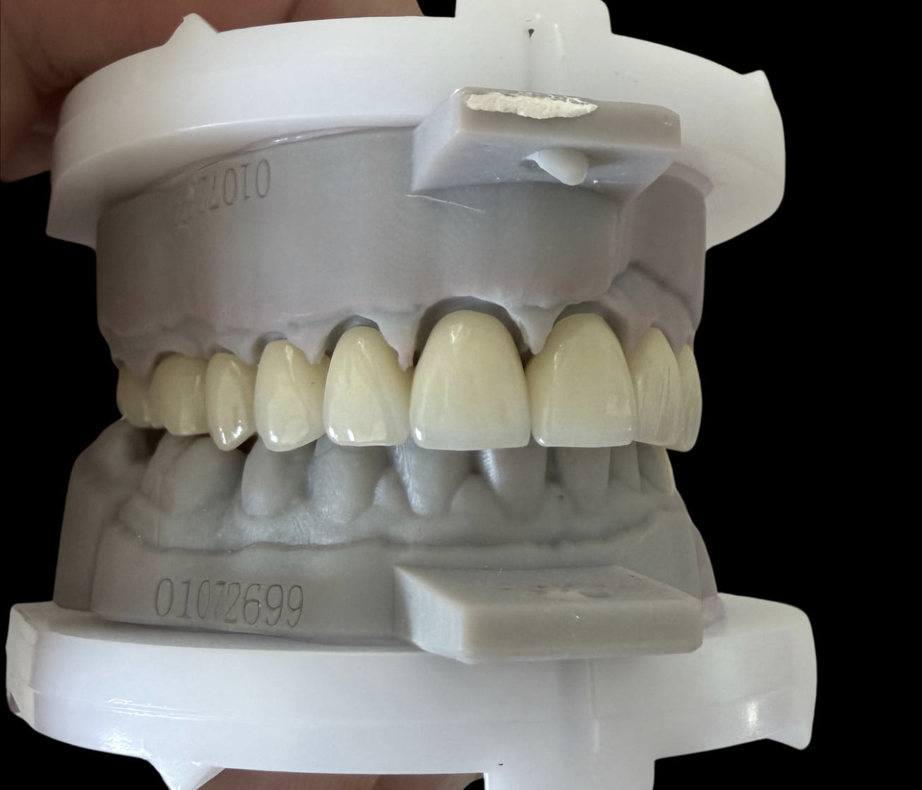 Dental Contact